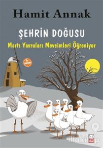 Şehrin Doğusu: Martı Yavruları Mevsimleri Öğreniyor
