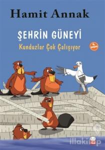 Şehrin Güneyi : Kunduzlar Çok Çalışıyor