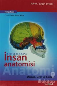 Şekil ve Tablolarla İnsan Anatomisi: Damar, Sinir ve Kaslar