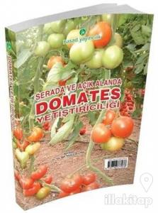 Serada ve Açık Alanda Domates Yetiştiriciliği