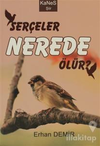 Serçeler Nerede Ölür?