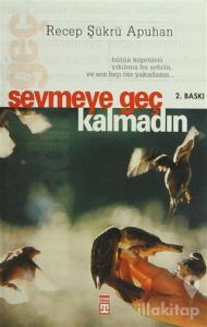 Sevmeye Geç Kalmadın