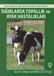 Sığırlarda Topallık ve Ayak Hastalıkları