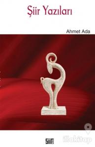 Şiir Yazıları