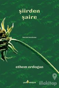 Şiirden Şaire