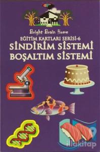 Sindirim Sistemi, Boşaltım Sistemi - Eğitim Kartları Serisi 6