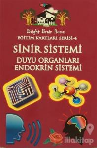 Sinir Sistemi, Duyu Organları, Endokrin Sistemi - Eğitim Kartları Serisi 4