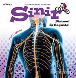 Sinir Sistemi İş Başında! - Vücudumuzdaki Sistemler