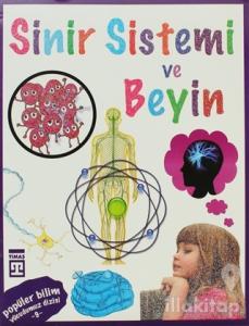 Sinir Sistemi ve Beyin