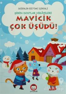 Şirin Dostlar Hikayeleri - Mavicik Çok Üşüdü!