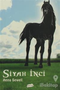 Siyah İnci