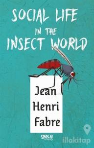 Social Life in The Insect World