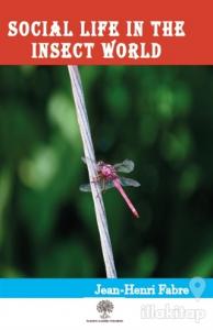 Social Life in the Insect World