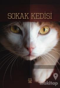 Sokak Kedisi