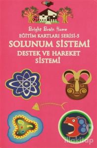 Solunum Sistemi, Destek ve Hareket Sistemi - Eğitim Kartları Serisi 5