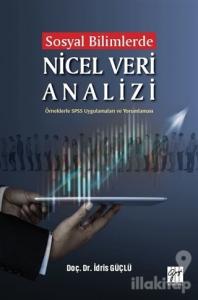 Sosyal Bilimlerde Nicel Veri Analizi