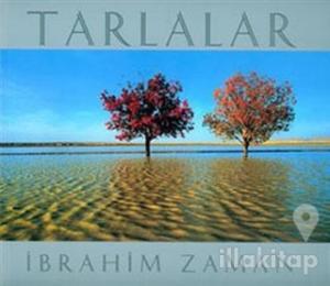 Tarlalar