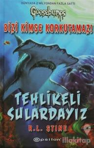 Tehlikeli Sulardayız (Ciltli)