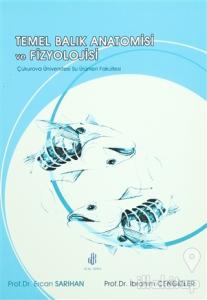 Temel Balık Anatomisi ve Fizyolojisi