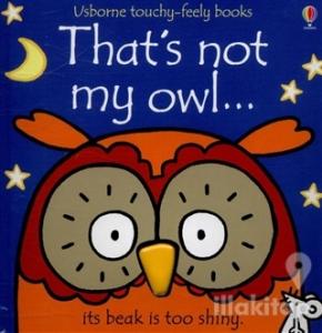 That's not My Owl