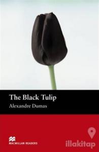 The Black Tulip Stage 2