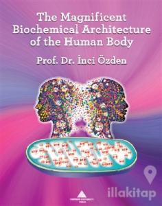 The Magnificent Biochemical Architecture of the Human Body