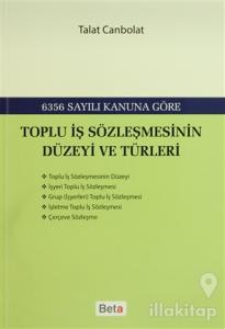 Toplu İş Sözleşmesinin Düzeyi ve Türleri