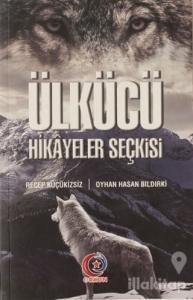 Ülkücü Hikayeler Seçkisi