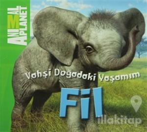 Vahşi Doğadaki Yaşamım: Fil