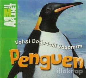Vahşi Doğadaki Yaşamım: Penguen