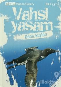 Vahşi Yaşam-Deniz Kuşları (Ciltli)