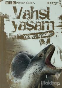 Vahşi Yaşam-Yüzgeç Ayaklılar