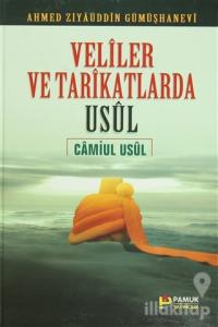 Veliler ve Tarikatlarda Usul - Camiul Usul (Tasavvuf-008) (Ciltli)