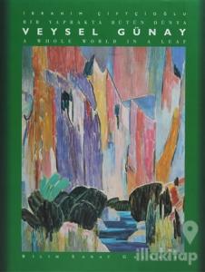 Veysel Günay (Ciltli)