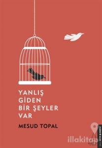 Yanlış Giden Bir Şeyler Var
