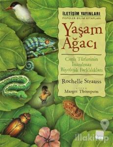 Yaşam Ağacı