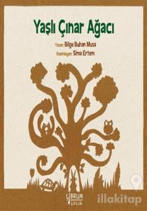 Yaşlı Çınar Ağacı