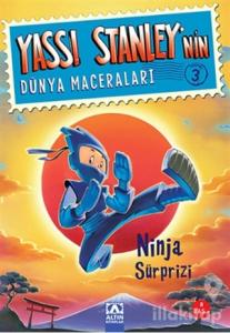 Yassı Stanley'nin Dünya Maceraları 3 - Ninja Sürprizi
