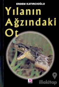 Yılanın Ağzındaki Ot