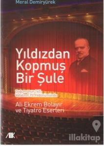 Yıldızdan Kopmuş Bir Şule