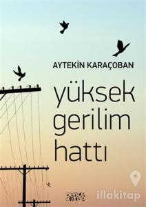 Yüksek Gerilim Hattı