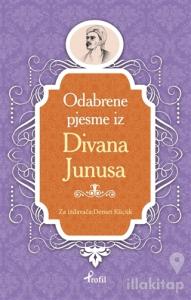 Yunus Emre - Boşnakça Seçme Hikayeler