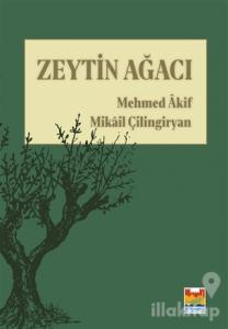 Zeytin Ağacı