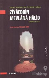Ziyaeddin Mevlana Halid