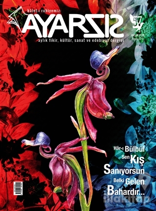 Ayarsız Aylık Fikir Kültür Sanat ve Edebiyat Dergisi Sayı: 57 Kasım 20