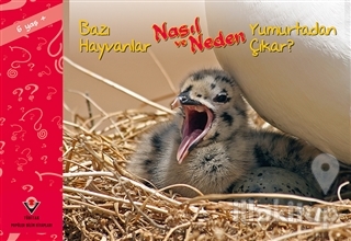 Bazı Hayvanlar Nasıl ve Neden Yumurtadan Çıkar