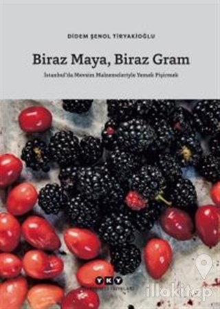 Biraz Maya, Biraz Gram (Ciltli)