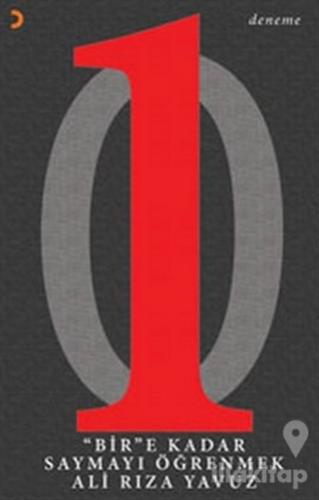 Bir'e Kadar Saymayı Öğrenmek