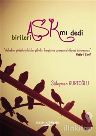 Birileri Aşk mı Dedi