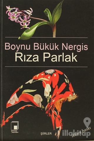 Boynu Bükük Nergis